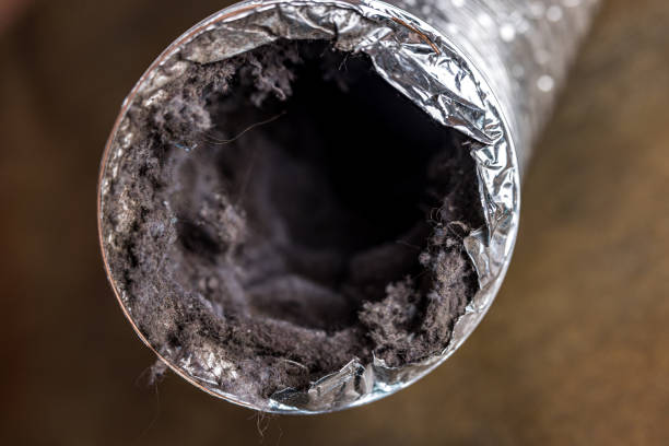 Best HVAC Air Duct Cleaning  in Stephenville, TX